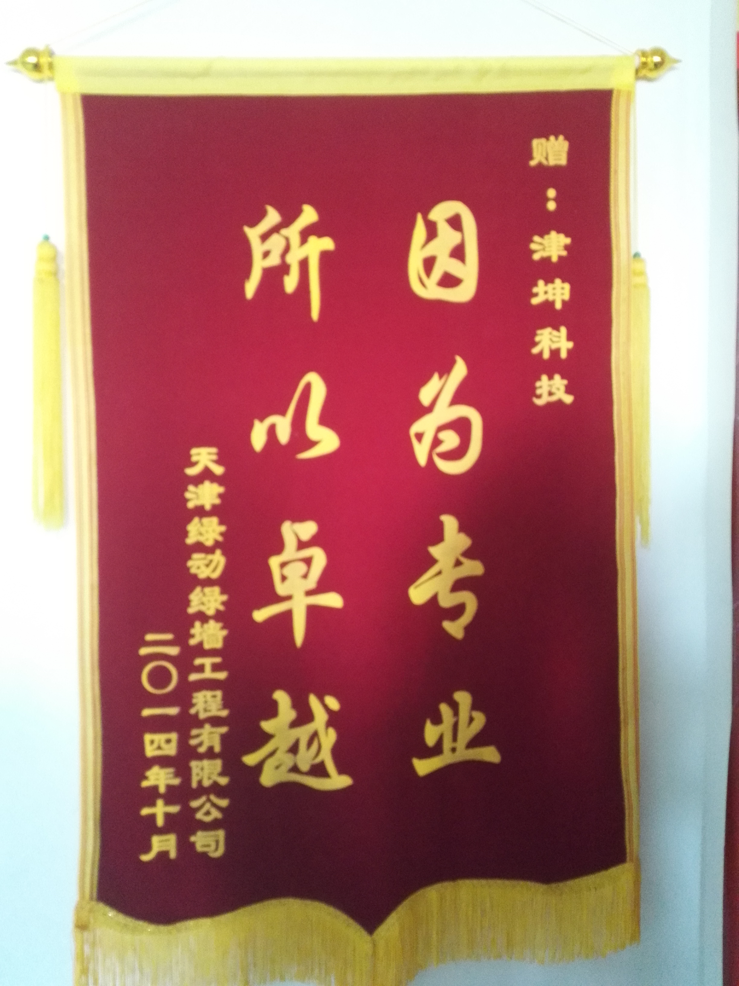 因为专业 所以**